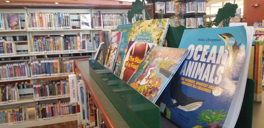 Books on display in the Tween Zone of the library.