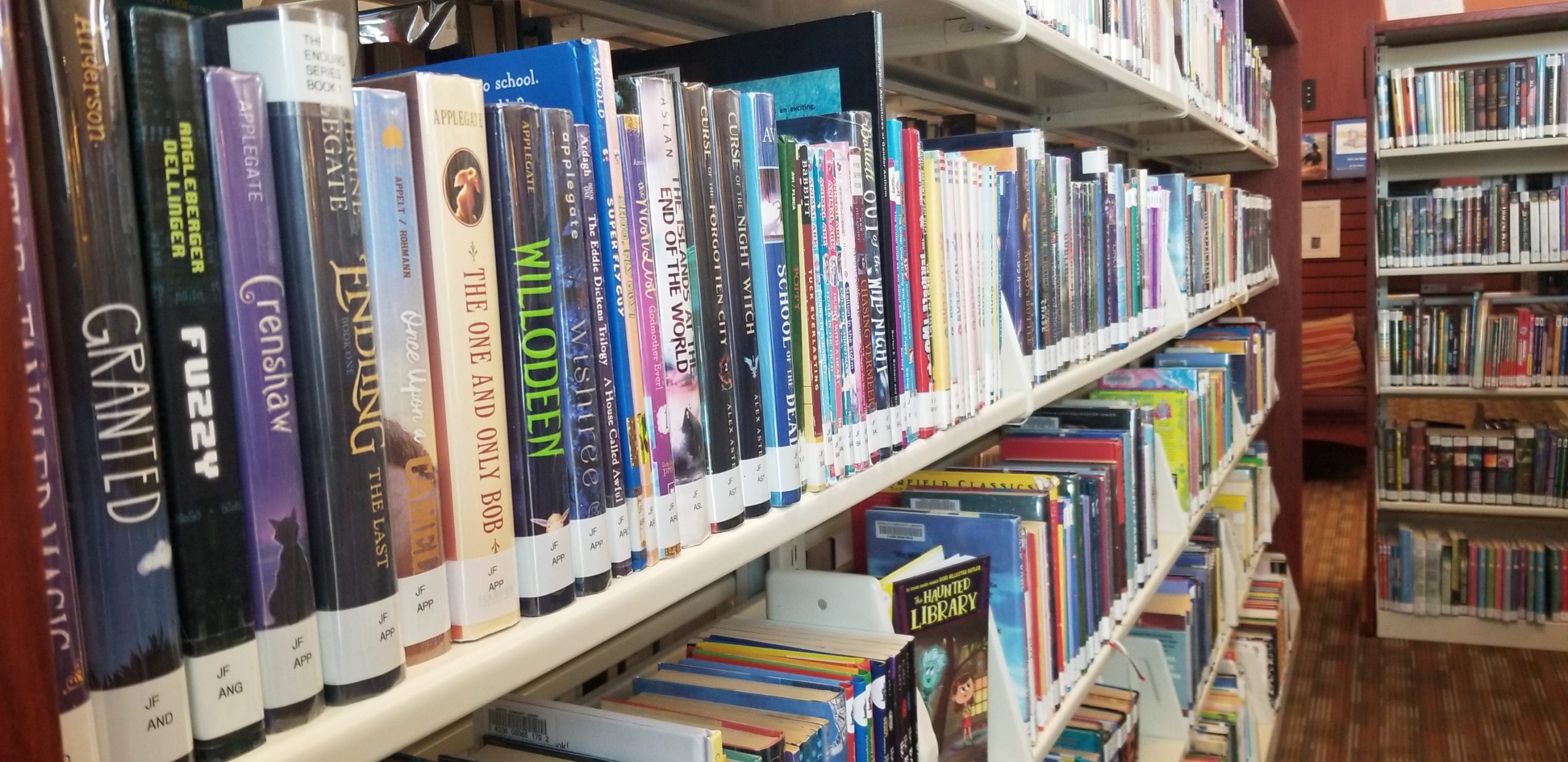 A bookshelf in our library.