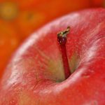 apple, fruit, vitamins, food, healthy, meal, fresh, apple stalk, stalk, apple peel, yummy, apple, apple, apple, apple, apple